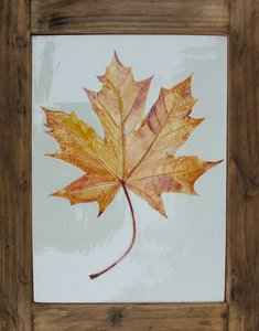 maple leaf tile large